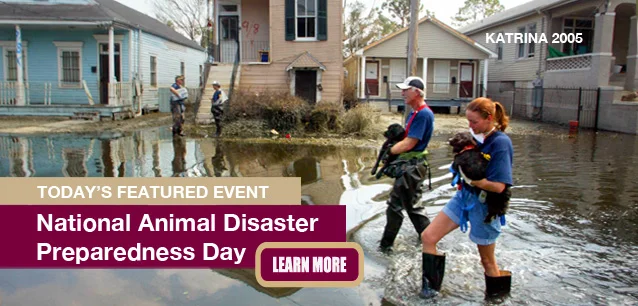 No Image found . This Image is about the event Animal Disaster Preparedness Day, Ntl.: May 9. Click on the event name to see the event detail.