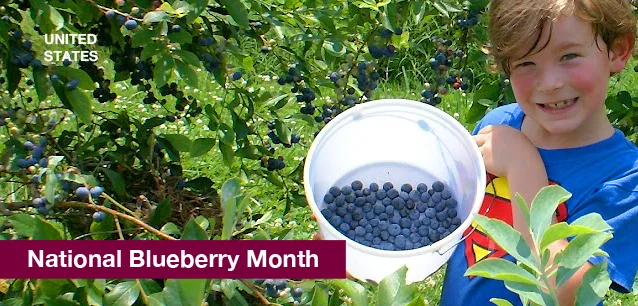 No image found 3636_National_Blueberry_MonthE.webp