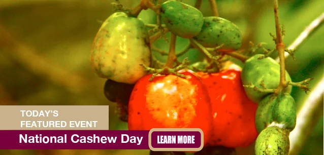 No Image found . This Image is about the event Cashew Day, Ntl.: November 23. Click on the event name to see the event detail.