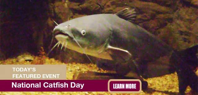 No Image found . This Image is about the event Catfish Day, Ntl.: June 25. Click on the event name to see the event detail.