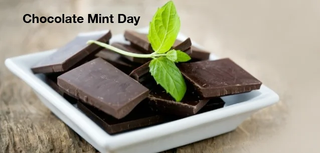 No image found 3940_Chocolate_Mint_DayE.webp