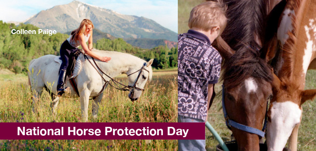 No image found 4925_Horse_Protection_DayE.png