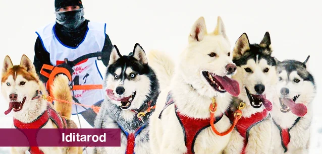 No image found 5002_IditarodE.webp