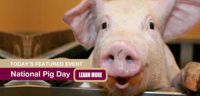 No Image found . This Image is about the event Pig Day, Ntl.: March 1. Click on the event name to see the event detail.