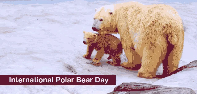 No image found 5970_Polar_Bear_DayE.webp