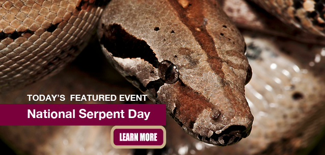 No Image found . This Image is about the event Serpent Day, Ntl.: February 1. Click on the event name to see the event detail.