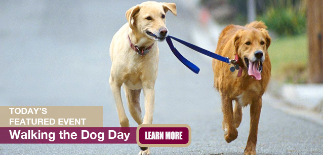 No Image found . This Image is about the event Walking the Dog Day: February 22. Click on the event name to see the event detail.