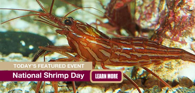 No Image found . This Image is about the event Shrimp Day, Ntl.: May 10. Click on the event name to see the event detail.