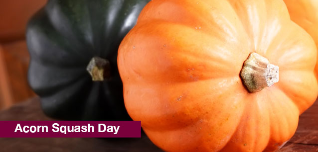 No image found Acorn_Squash_DayE.png