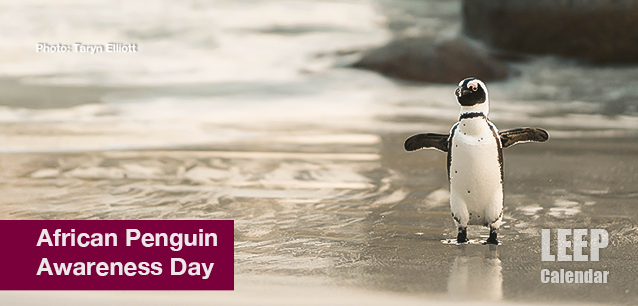 No image found African_penguin_Awareness_DayE.png