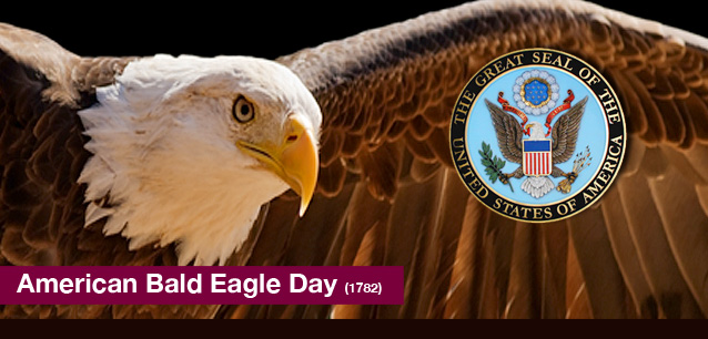 No image found American_Bald_Eagle_DayE.png