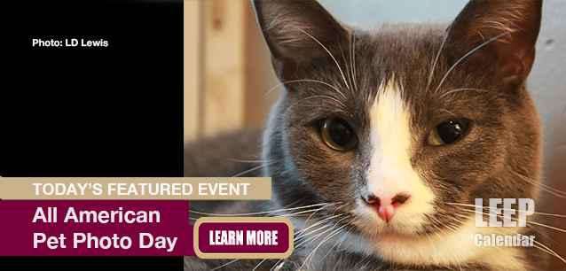 No Image found . This Image is about the event All American Pet Photo Day: July 11. Click on the event name to see the event detail.