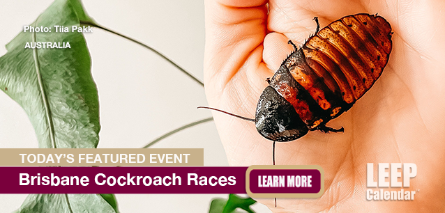 No Image found . This Image is about the event Cockroach Races (AU-QLD), Brisbane: January 26. Click on the event name to see the event detail.