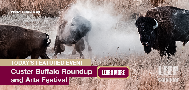 No Image found . This Image is about the event Buffalo Roundup and Arts Festival, Custer, (US-SD): September 25-27 (est). Click on the event name to see the event detail.
