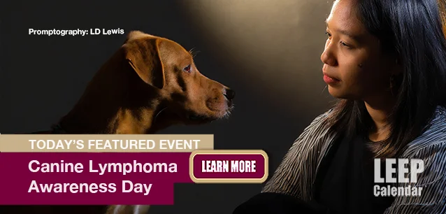 No Image found . This Image is about the event Canine Lymphoma Awareness Day: November 7. Click on the event name to see the event detail.