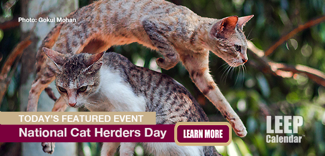 No Image found . This Image is about the event Cat Herders Day, Ntl.: December 15. Click on the event name to see the event detail.