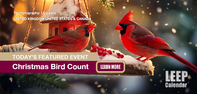 No Image found . This Image is about the event Christmas Bird Count (US/UK/CA): December 14-January 5, 2025 (est). Click on the event name to see the event detail.