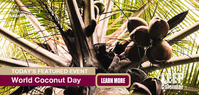 No Image found . This Image is about the event Coconut Day, World: September 2. Click on the event name to see the event detail.