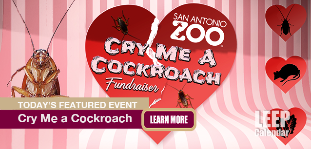 No Image found . This Image is about the event Cry Me a Cockroach (US-TX): February 1-14. Click on the event name to see the event detail.