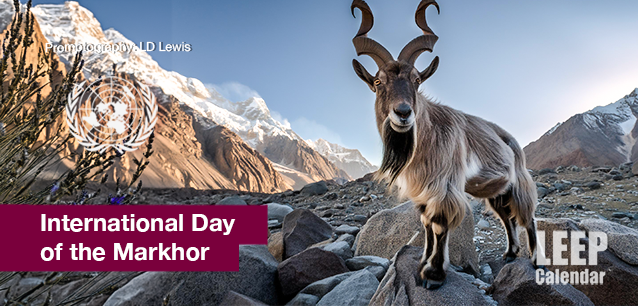 No image found Day-of-the-Markhor-Intl-E.webp