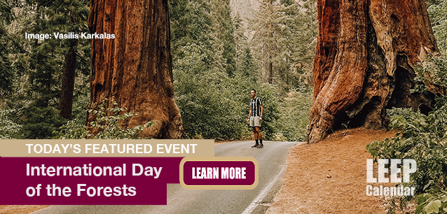 No Image found . This Image is about the event Forests Day, Intl. Day of: March 21 . Click on the event name to see the event detail.