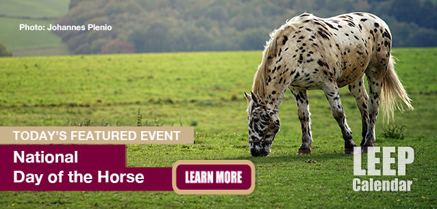 No Image found . This Image is about the event Horse, Ntl. Day of: December 13. Click on the event name to see the event detail.