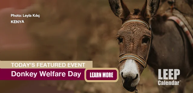 No Image found . This Image is about the event Donkey Welfare Day (KE): May 17. Click on the event name to see the event detail.