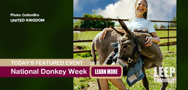 No Image found . This Image is about the event Donkey Week (UK): May 6-12. Click on the event name to see the event detail.