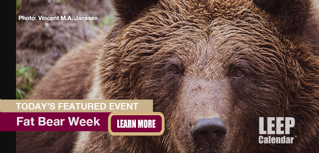 No Image found . This Image is about the event Fat Bear Week: October 8-14 (est). Click on the event name to see the event detail.