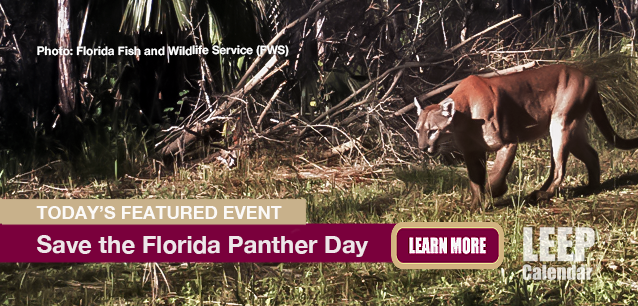 No Image found . This Image is about the event Florida Panther Day, Save the : March 15. Click on the event name to see the event detail.