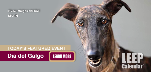 No Image found . This Image is about the event Dogs, Día del Galgo (ES): February 1. Click on the event name to see the event detail.