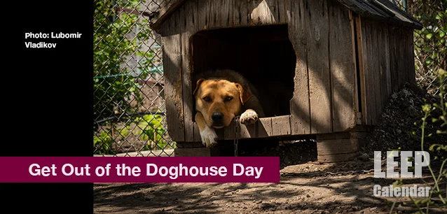 No image found Get_Out_of_doghouse_dayE.webp