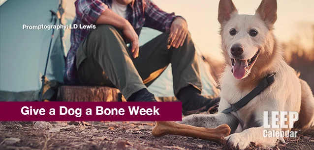 No image found Give-a-dog-a-bone-Week-E.webp