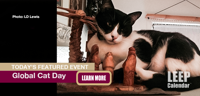 No Image found . This Image is about the event Global Cat Day: October 16. Click on the event name to see the event detail.