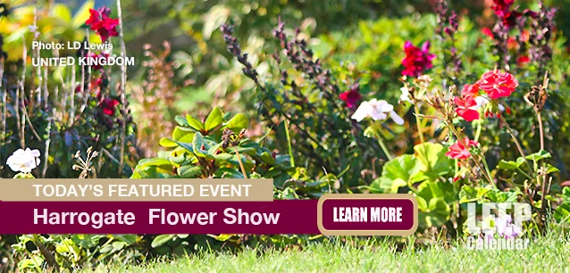 No Image found . This Image is about the event Harrogate Fall Flower Show (UK): September 13-15. Click on the event name to see the event detail.