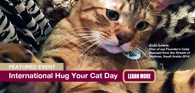 No Image found . This Image is about the event Hug Your Cat Day: May 1*. Click on the event name to see the event detail.