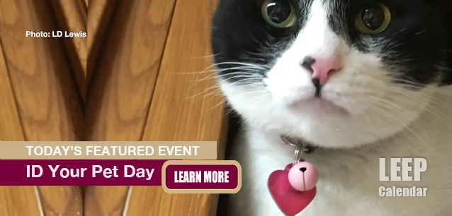 No Image found . This Image is about the event Pet, ID Your Pet Day: July 1. Click on the event name to see the event detail.