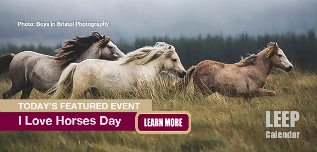 No Image found . This Image is about the event Horses Day, I Love, Ntl: July 15. Click on the event name to see the event detail.