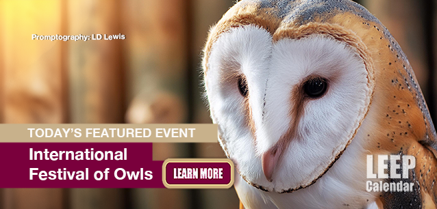 No Image found . This Image is about the event Festival of Owls, Intl. (US-MN): March 7-9. Click on the event name to see the event detail.