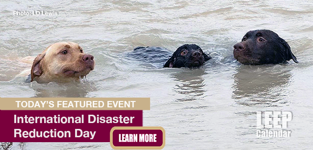 No Image found . This Image is about the event Disaster Reduction Day, Intl.: October 13. Click on the event name to see the event detail.