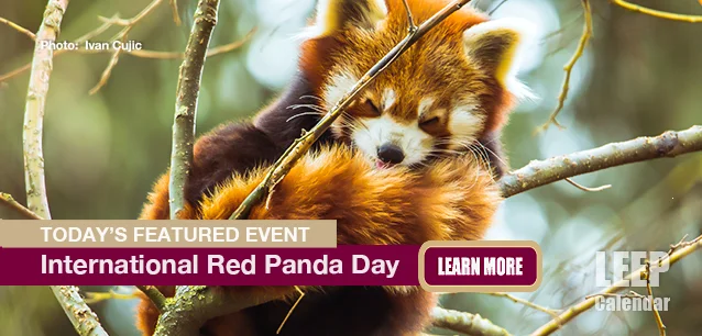 No Image found . This Image is about the event Panda Day, Red Intl: September 21. Click on the event name to see the event detail.