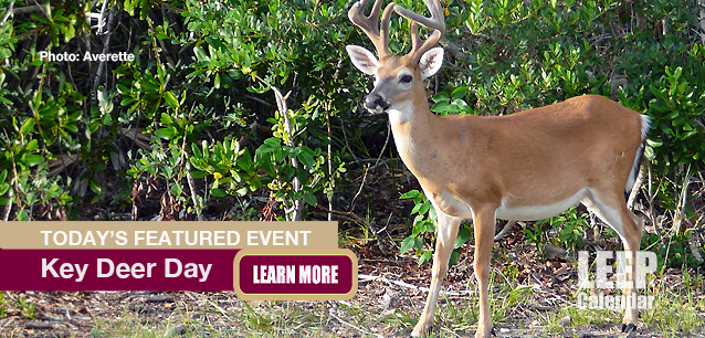 No Image found . This Image is about the event Key Deer Awareness Day (1967): March 11. Click on the event name to see the event detail.