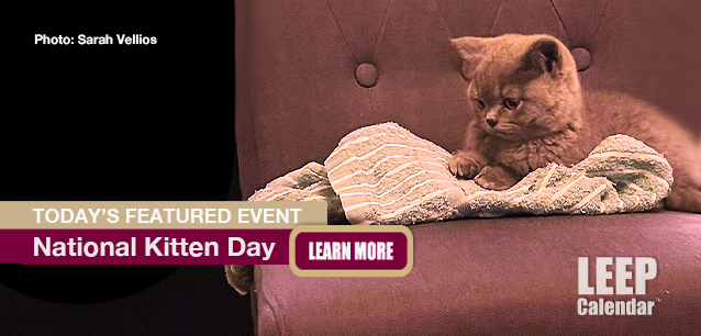 No Image found . This Image is about the event Kitten Day, Ntl.: July 10. Click on the event name to see the event detail.