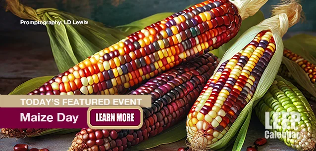 No Image found . This Image is about the event Maize Day: November 24. Click on the event name to see the event detail.