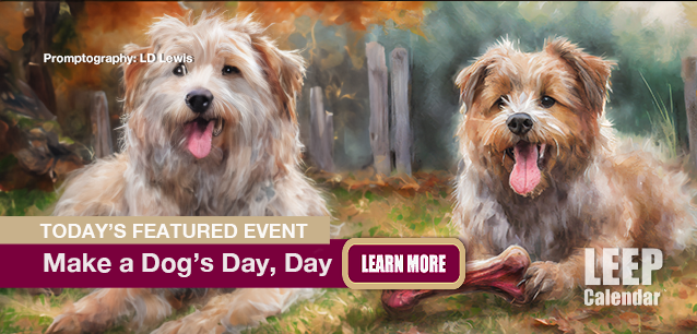 No Image found. This Image is about the event Make a Dog's Day: October 22. Click on the event name to see the event detail.