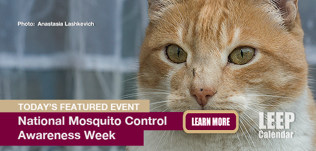 No Image found . This Image is about the event Mosquito Control Awareness Week, Ntl.: June 15-21 (est). Click on the event name to see the event detail.