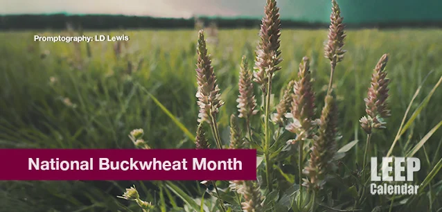 No image found National-Buckwheat-Month-E.webp