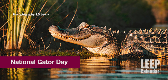 No image found National-Gator-Day-E.png