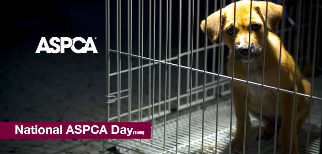 No image found National_ASPCA_DayE.png