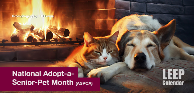 No image found National_Adopt-a-Senior-Pet_MonthE.jpg